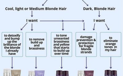 If you have blonde hair and are unsure which shampoo is right for you, Joico has drawn a map to help point you in the ri…