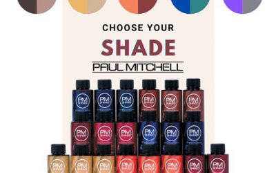 Stock your salon with our Paul Professional colours. We carry a wide range of ‘PM SHINES’ & ‘The Color’ colours along wi…